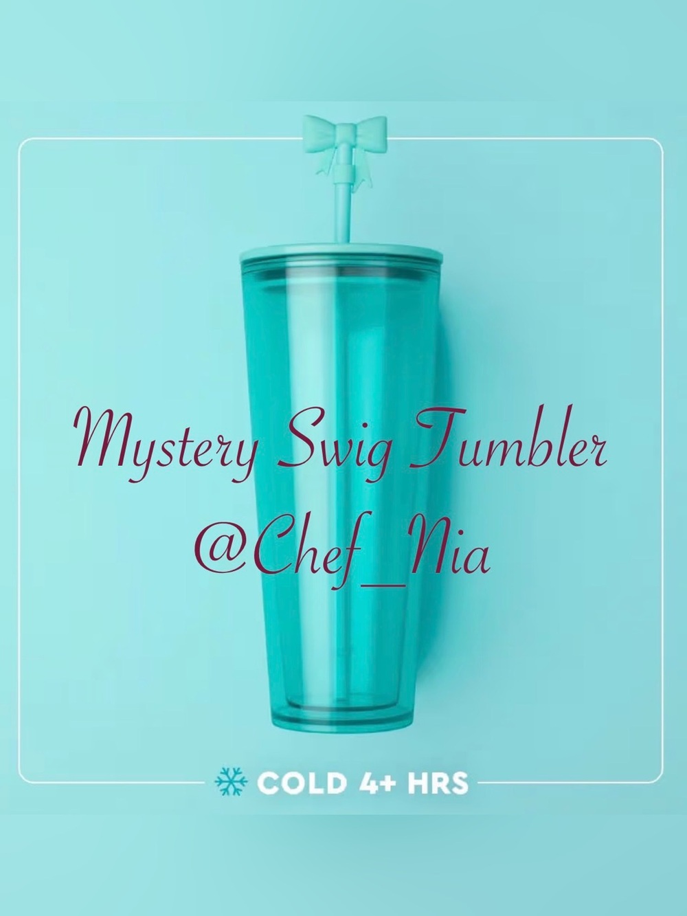 Mystery Swig Tumbler